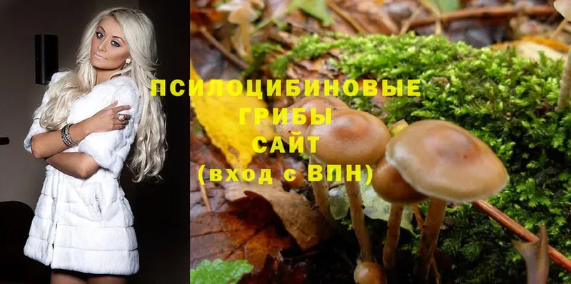 Галлюциногенные грибы Cubensis  Пугачёв 